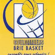 Coulommiers Brie Basket