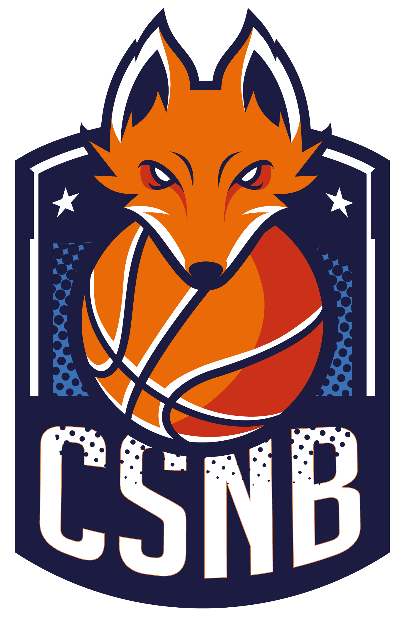 Logo CS DE NOISY LE GRAND BASKET